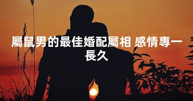 屬鼠男的最佳婚配屬相 感情專一長久